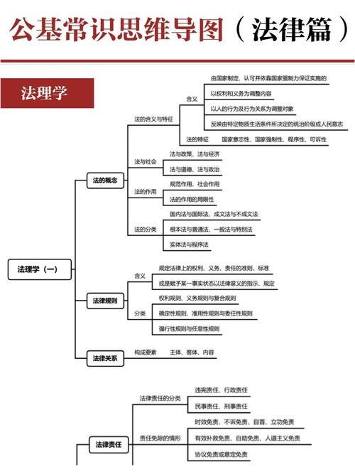 法律上怎么捋