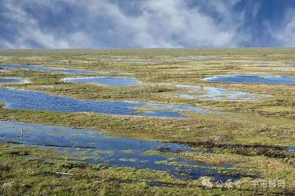 经典电影场景中角色陷入沼泽,只露出手臂和头部,周围漆黑树木