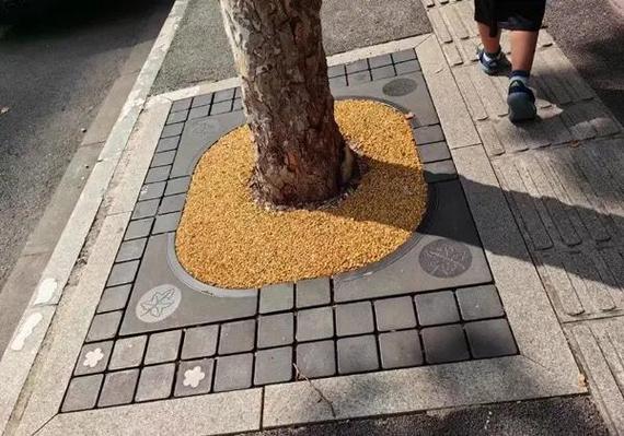 南京锁金村小区低影响开发树池雨水渗透实景