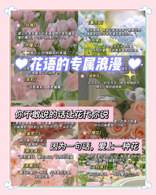 挑花朵婚纱,得先懂花语——和预算