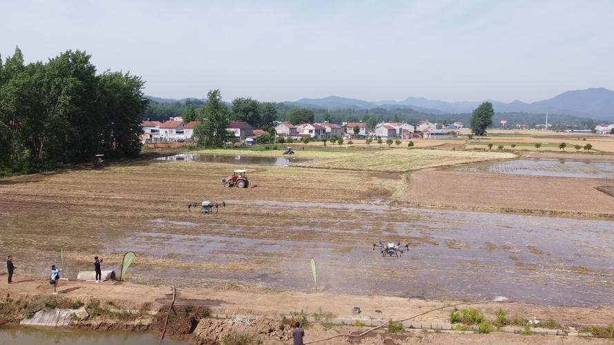 湖北南漳荆山田间集体薅草打调场景