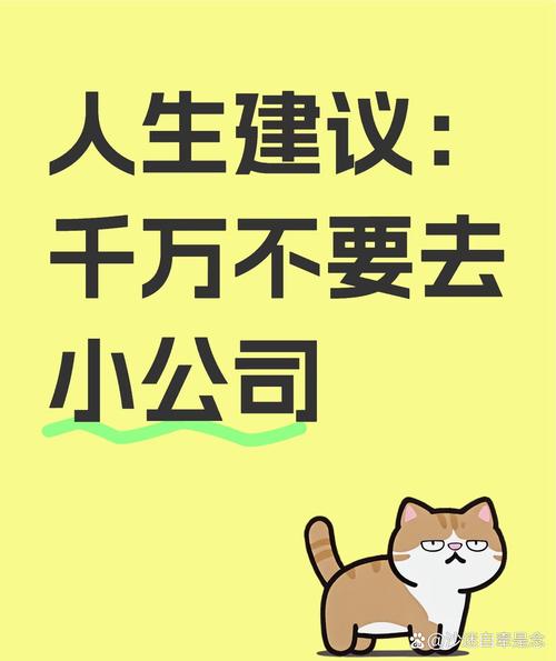 别为了保底，将就去你根本不想去的公司