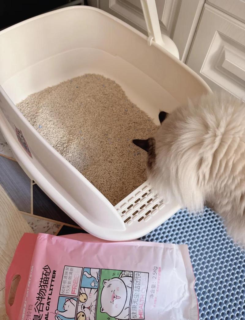 宠物换粮软便后铲屎官清洁猫砂盆场景