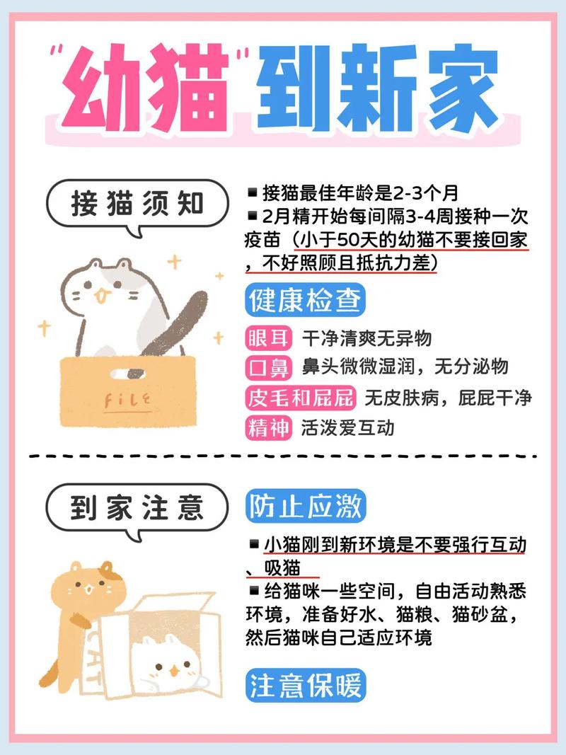 养宠人必须做的三件事