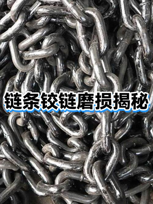 传动链条销轴内部磨损剖面示意图