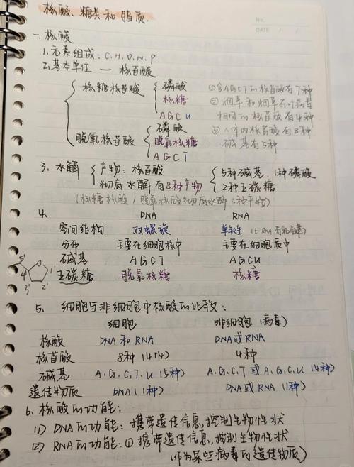 高中一轮复习知识点整理手写笔记