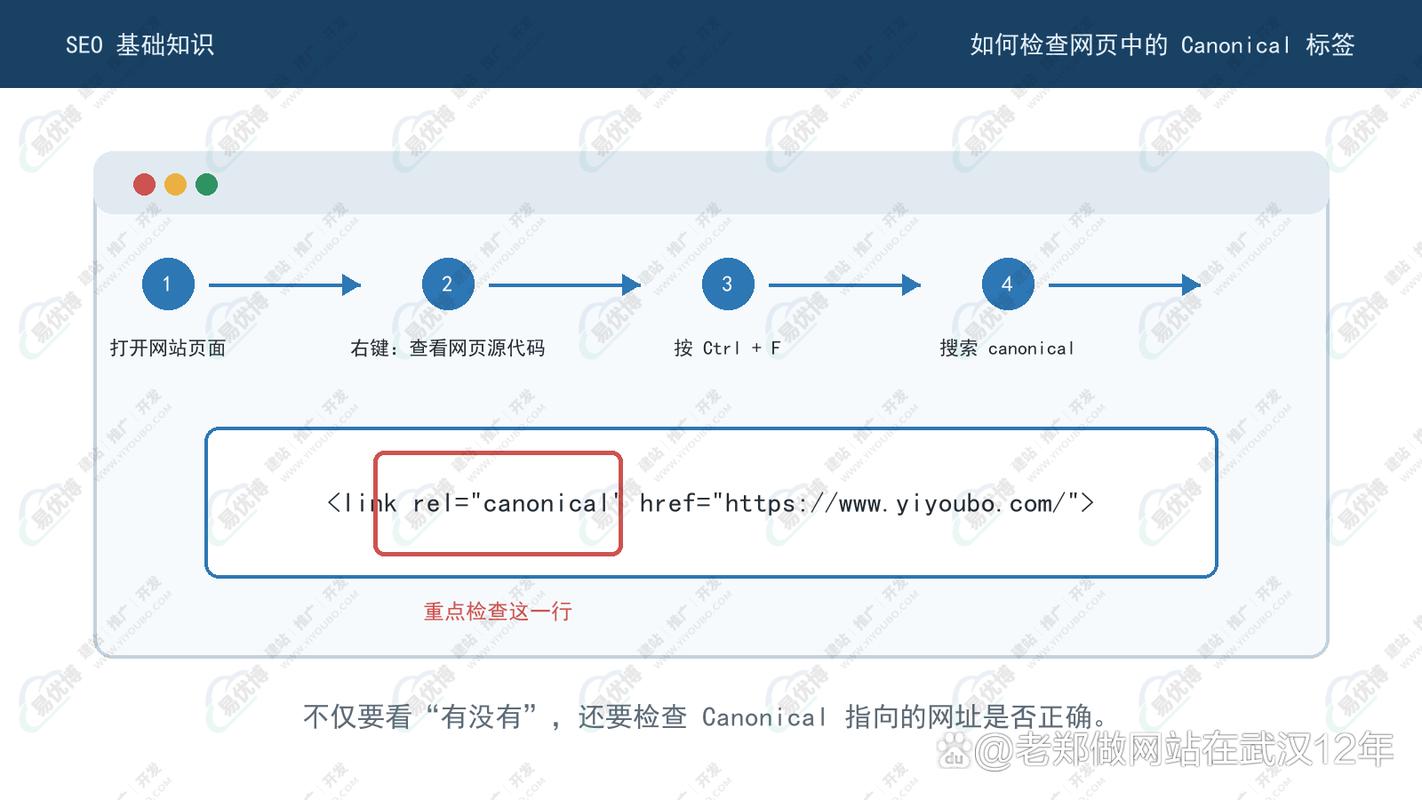 网页头部canonical标签写法示例图