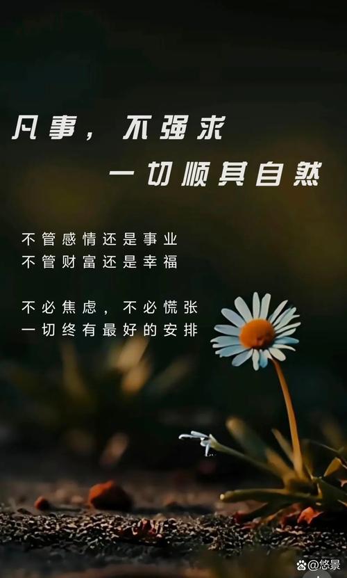 顺应,不是撒手不管