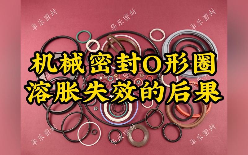 机械密封辅助O形圈溶胀失效对比实物照片