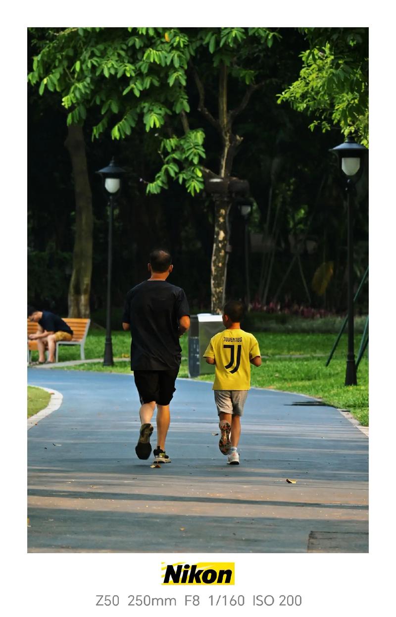 清晨公园父子跑步背影 阳光透过树叶