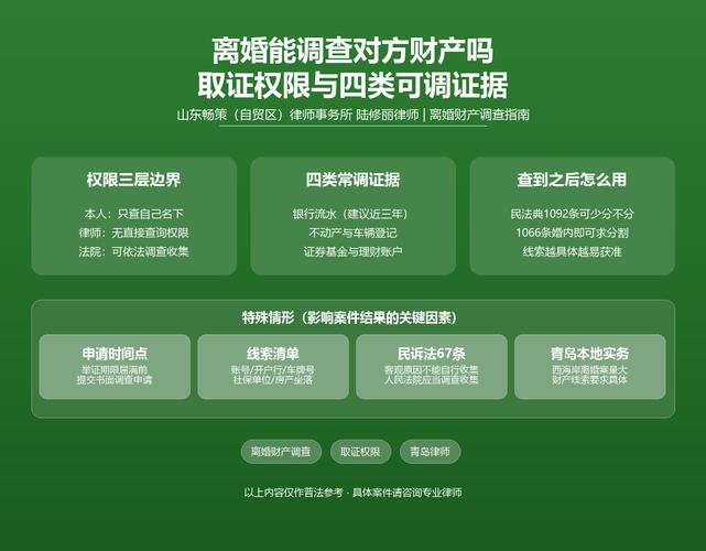 离婚诉讼银行流水调查取证流程图