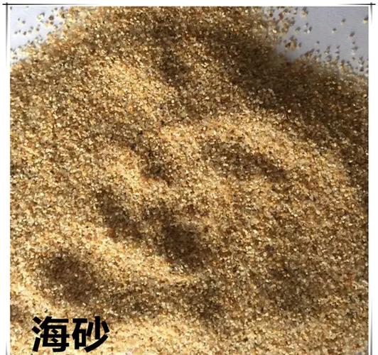 砂石料车装卸料现场海沙泥块肉眼鉴别图