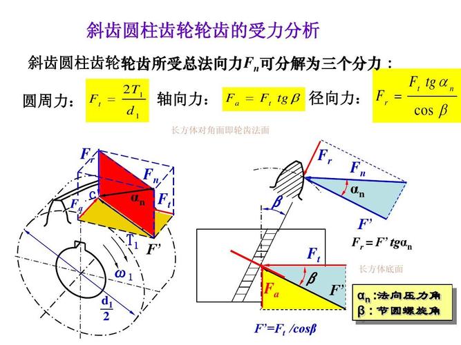 斜齿轮螺旋角轴向力受力分析示意图