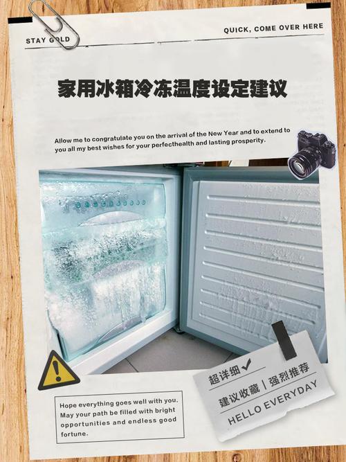 冰箱冷藏室解冻冻肉的温度变化示意图