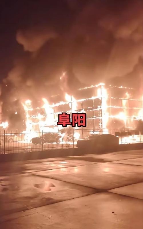 为啥这两年突然火成这样？