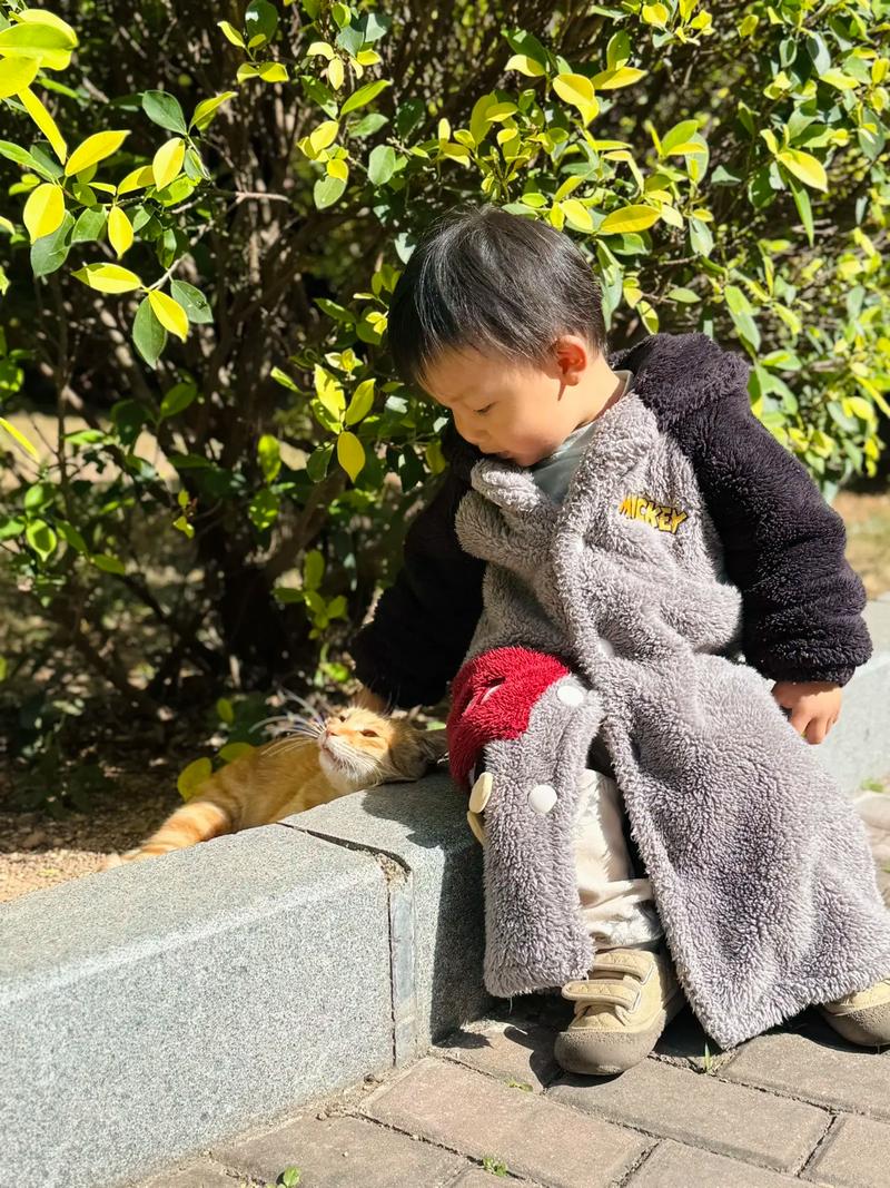儿童在小区公园争论流浪猫喂食问题实拍