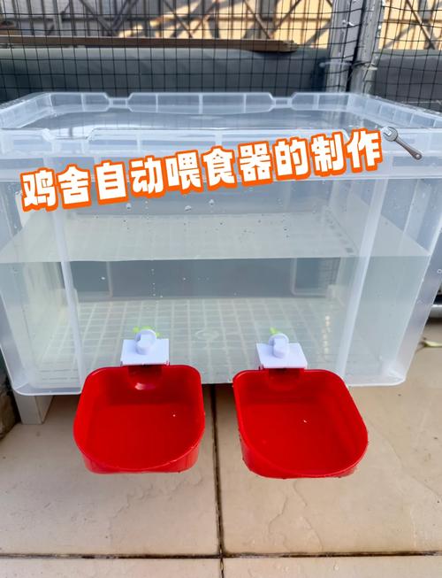 乡村小学学生展示自制创客作品自动喂鸡器