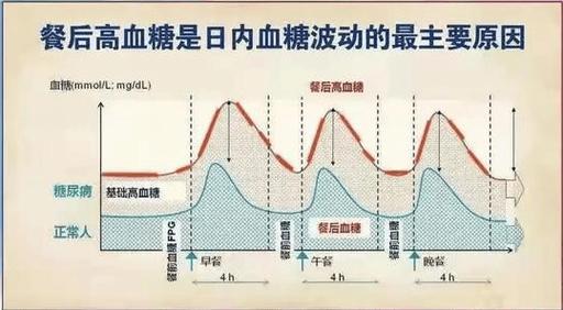 健康人与糖尿病患者餐后血糖变化对比曲线图