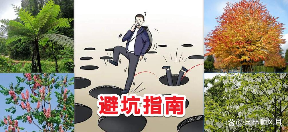 落地最容易踩的三个坑,别碰