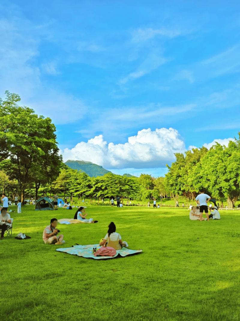 城市公园草坪上的野餐人群