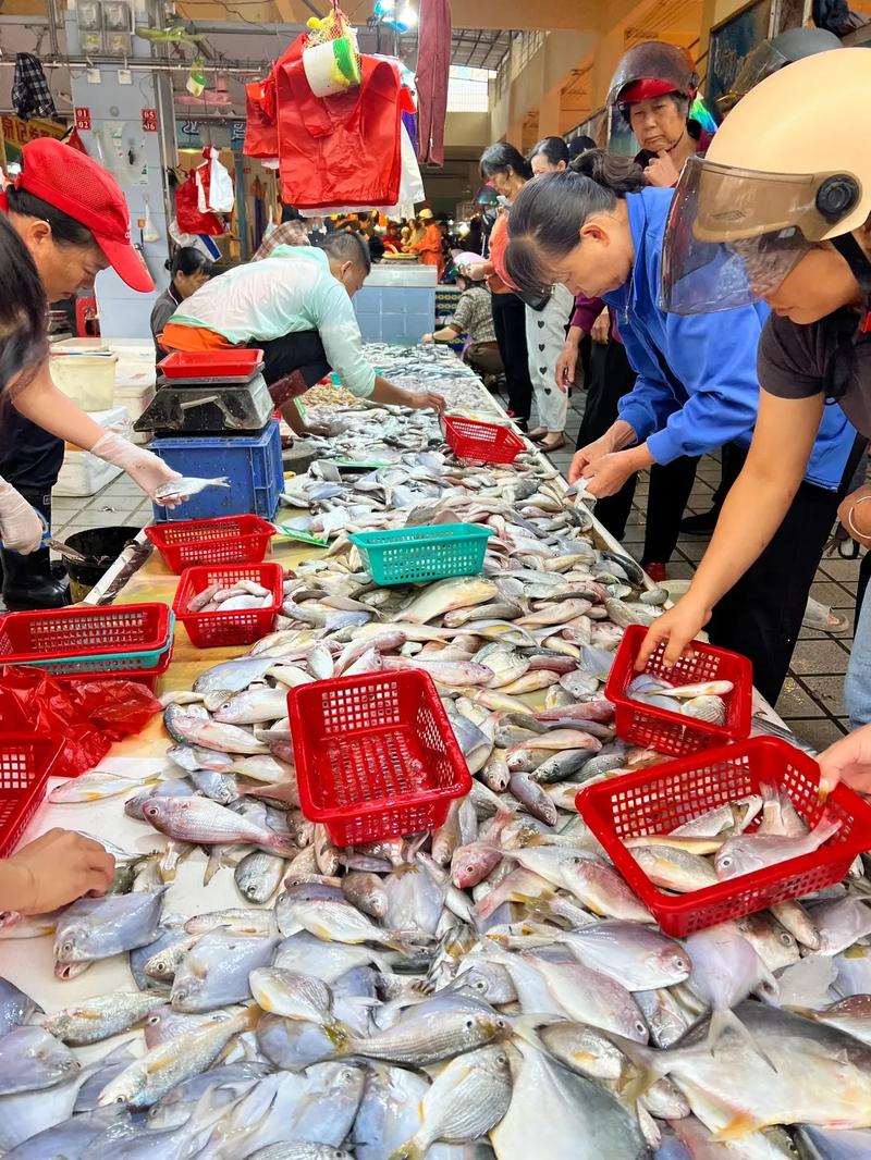 站点三:椰海大道站——早市里的生猛海鲜