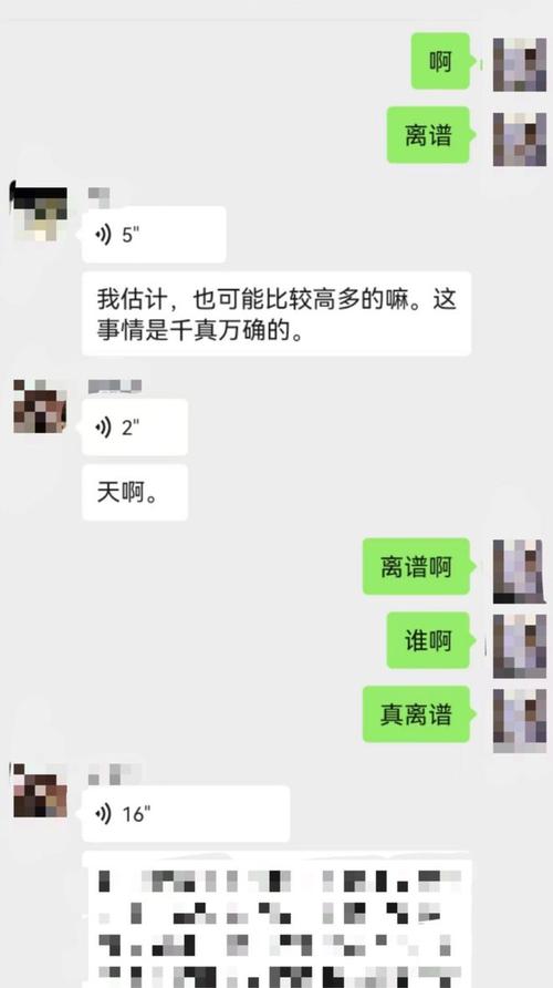 网络诽谤造谣聊天记录截图