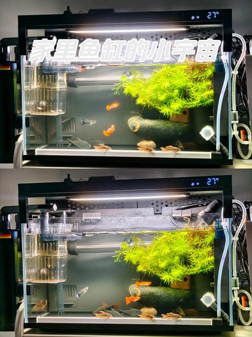 超级宝贝调皮玩耍面粉鱼缸场景