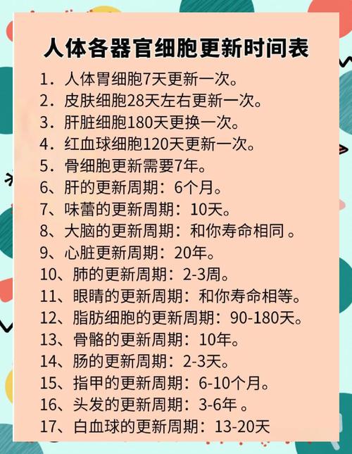 不同内容类型对应的合理更新周期参考表