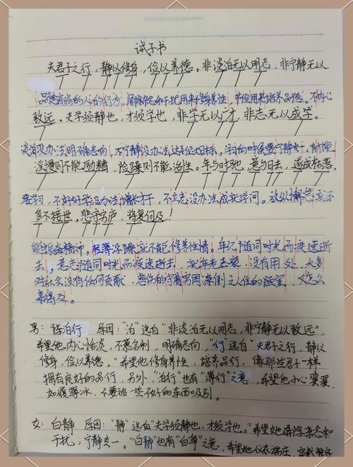 初中语文课堂学生手写《诫子书》作业纸