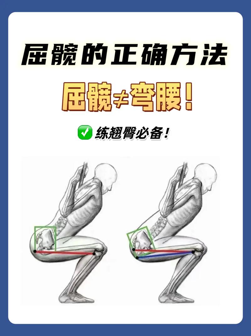 弯腰发力方式屈髋动作示意图