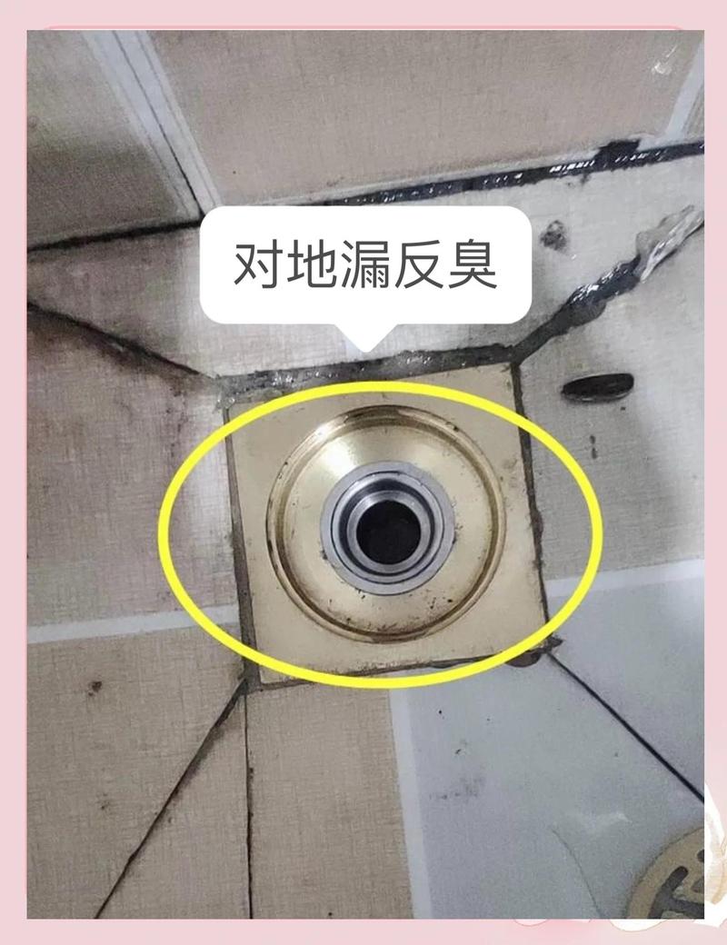 卫生间地漏返味常见来源排查示意图