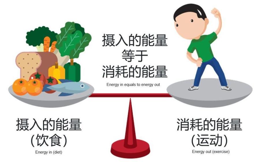 饭后躺卧与站立腹部能量消耗对比图