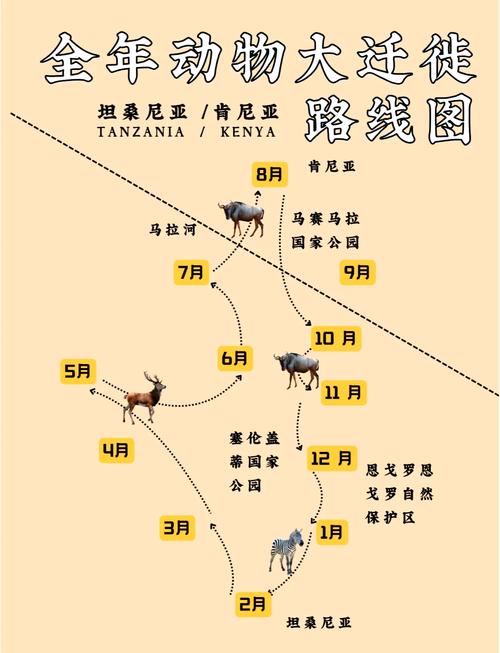羊群效应：从草原到股市，我们为何总爱跟着走？-因为所以