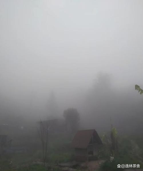 山区谷底清晨逆温层雾霾实景