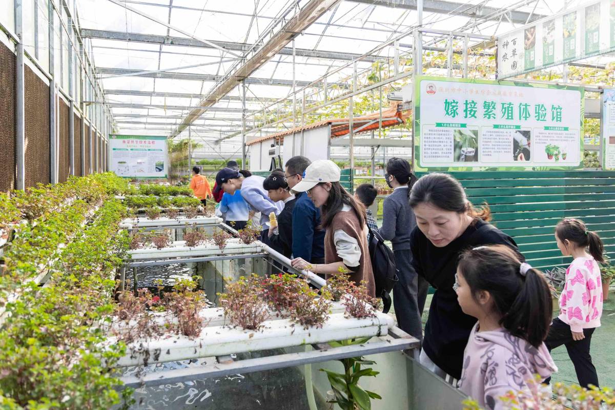 农业科研成果技术体验活动田间展台