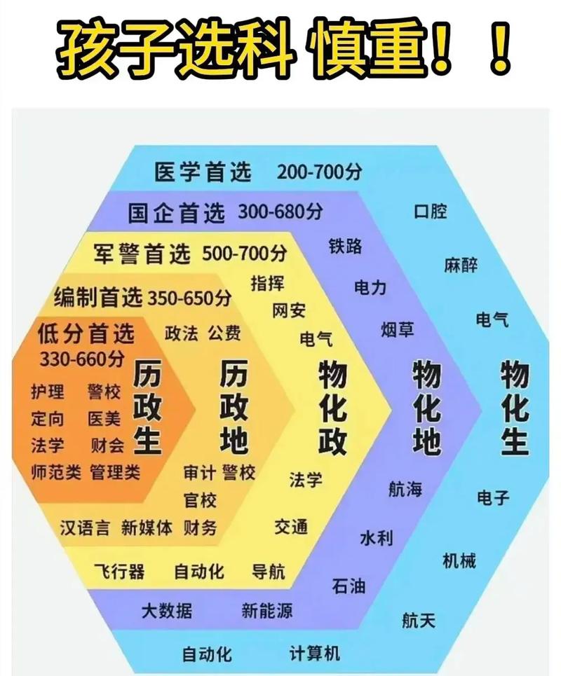 高三学生对照新高考选科表梳理职业方向的实景图