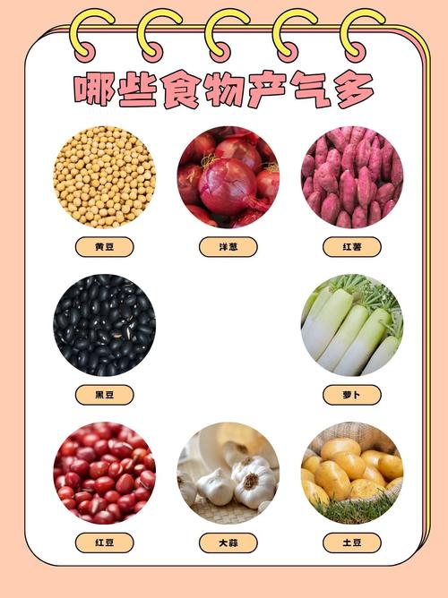 日常常见易产气食物分类表