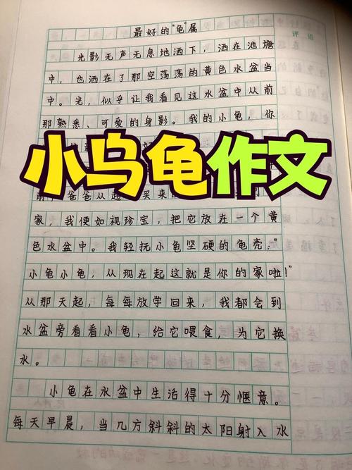 小学生兴奋地向老师展示自己的宠物龟