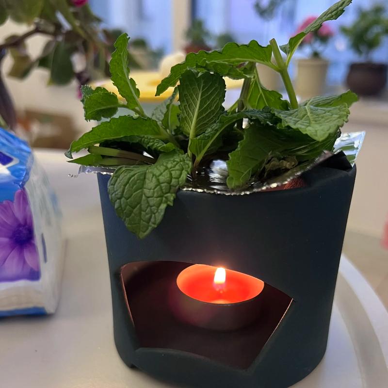 桌面干花薄荷香草芳香舒缓氛围场景