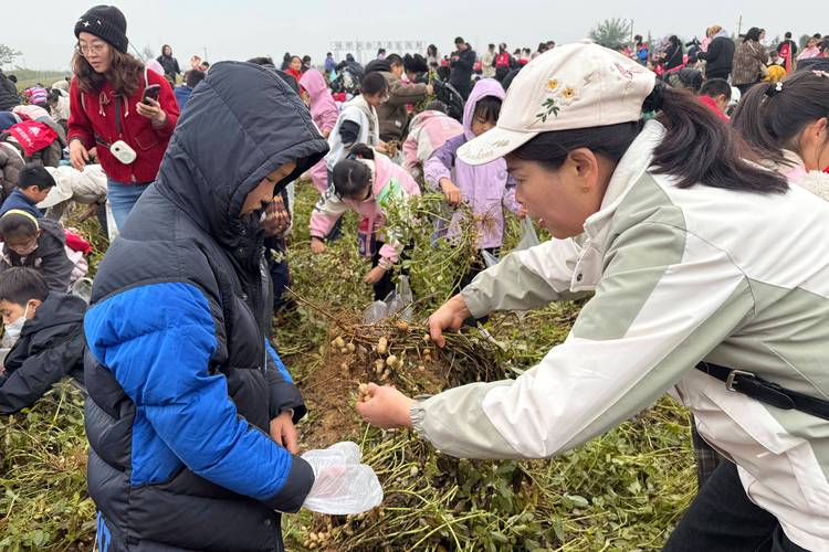 农村小学学生种植花生的劳动教育场景