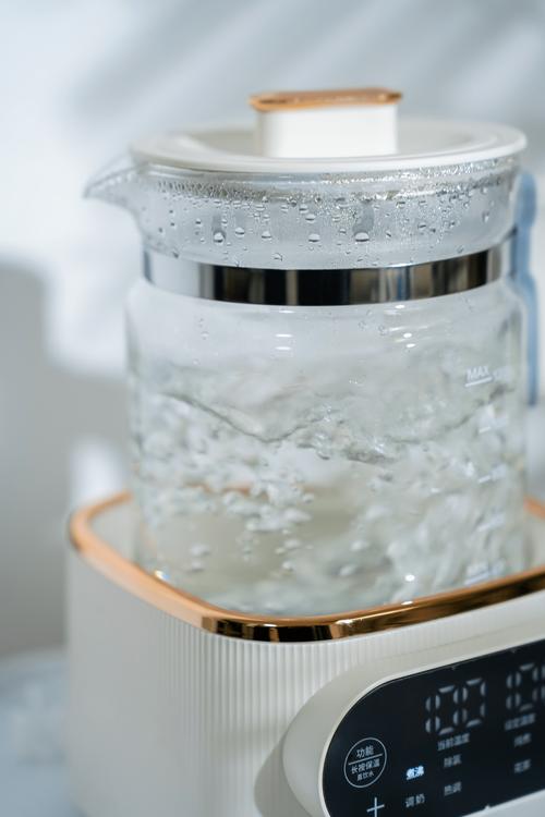 家用不锈钢烧水壶水开冒泡实拍