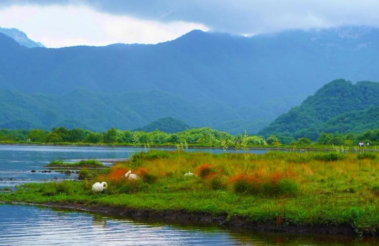 湖北神农架大九湖秋日湿地草甸