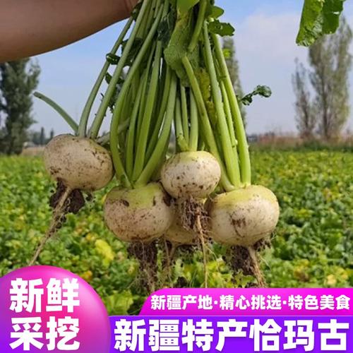 5. 恰玛古（芜菁）：硫代葡萄糖苷的辛辣与甜味转化