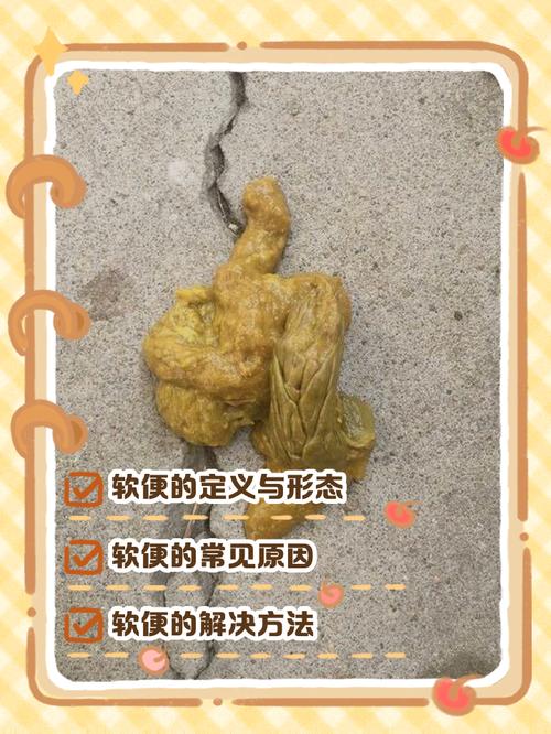 主人戴一次性手套观察狗狗软便性状的实拍