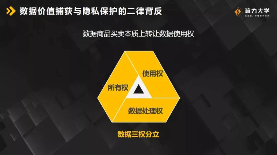 数据权益的法律精准画像