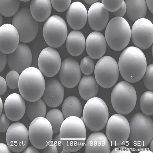 金属3D打印用球形钛合金粉末显微镜照片