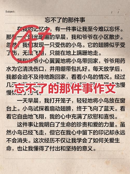那些我们容易忘了的事