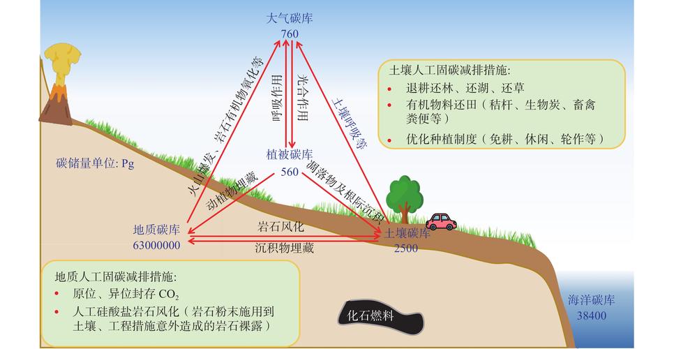 泥炭沼泽碳储存示意图