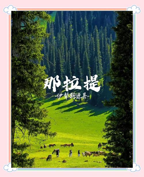 为什么我放弃了那拉提,选了这片没人挤的草原