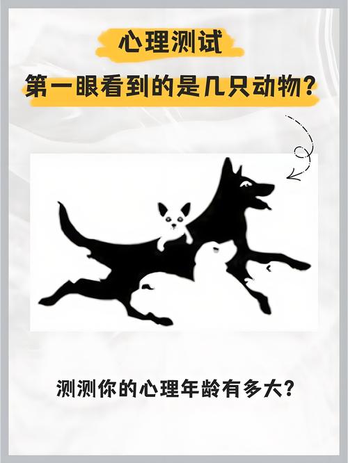 朋友圈刷屏的趣味心理测试截图